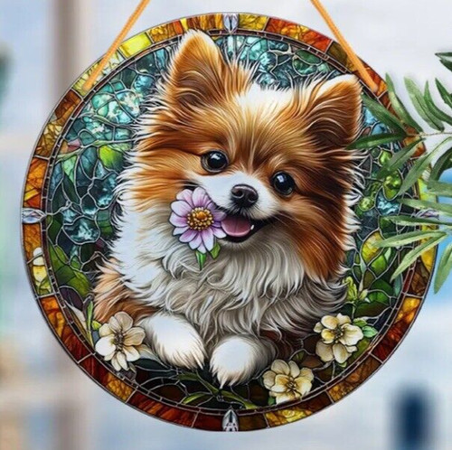 Pomeranian dog lover - pomeranian,