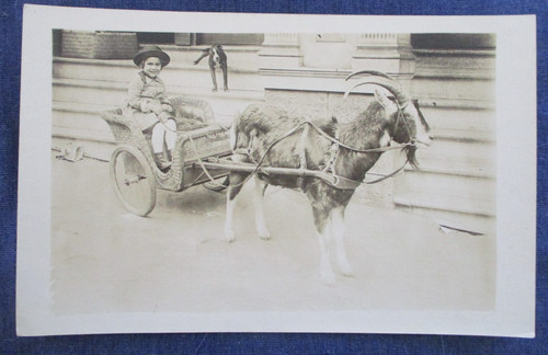 1923 postcard size - postcard, photo