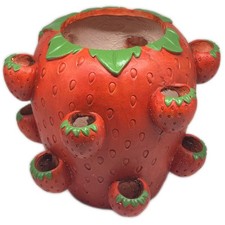 Strawberry planters pot - planters,