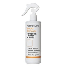 Car Mould Remover Spray