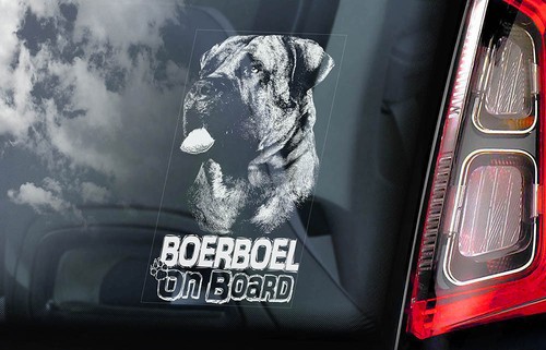 Boerboel car sticker south - boerboel,