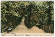 The Plantation Exmouth Vintage
