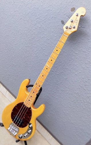 Stingray bass - stingray,
