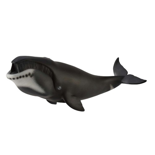Collecta bowhead whale - collecta,