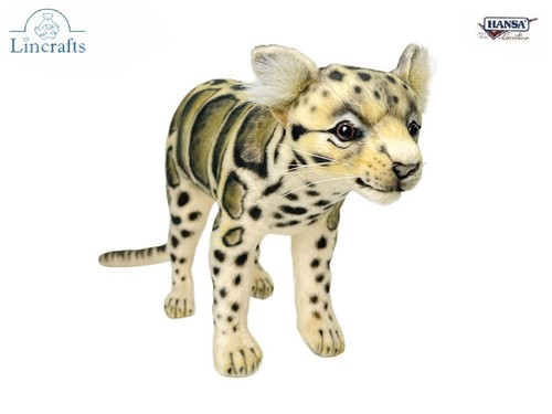 Hansa clouded leopard - hansa,