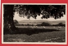 SOMERSET    WILLITON FROM THE