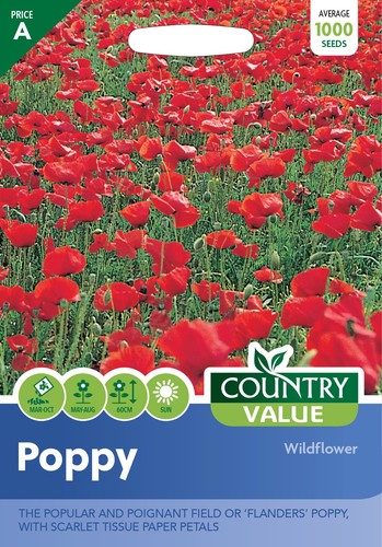 Flower seeds poppy - flower, wildflower