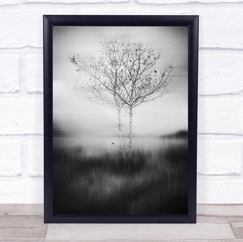 That tree edited - that,