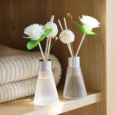 100 Pcs Rattan Reed Sticks