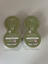 Scentsy Bundle 2 Twin Packs of