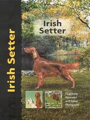 Irish setter - irish, love)