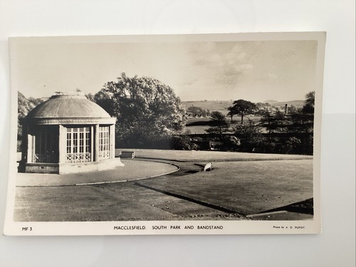 C1960 photo postcard - photo,