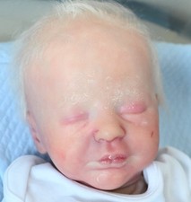 Due soon ....... Reborn Aspen 17" High end reborn baby