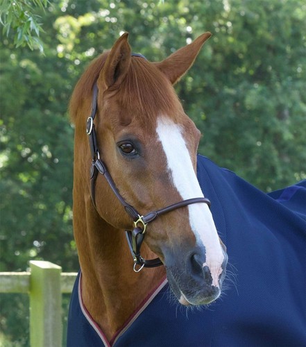 Premier equine hennaroso - premier,