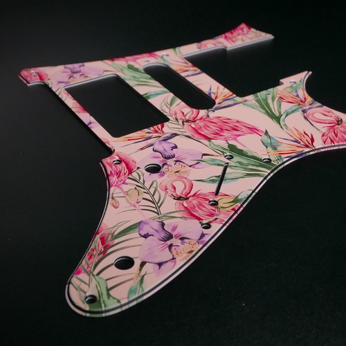 Ibanez jem series - series, pickguard