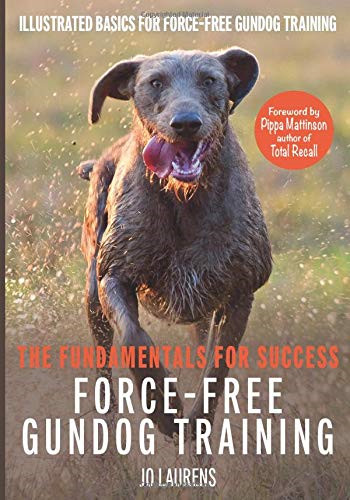 Force free gundog - gundog, training