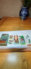 Wild woodbine vintage - woodbine,