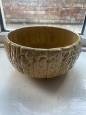 Vintage SylvaC Plant