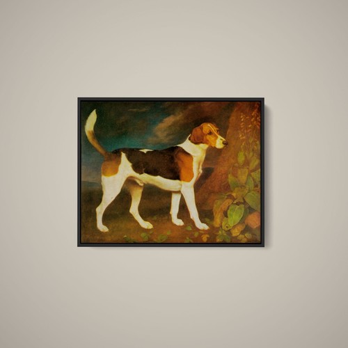 George stubbs a foxhound - -,