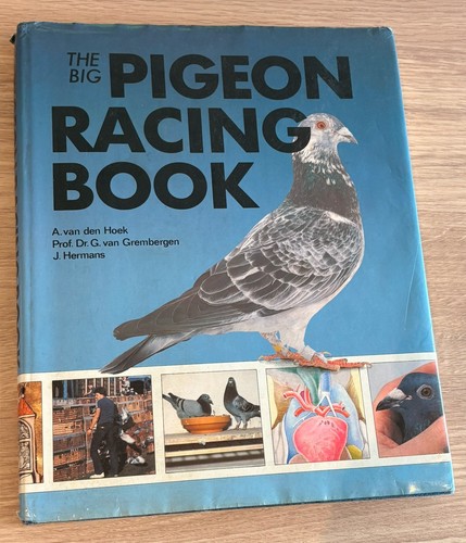 The big pigeon - pigeon, racing