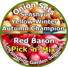 Onion Sets Pick 'n' Mix.  RED