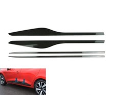 Carbon fibre side - carbon, door