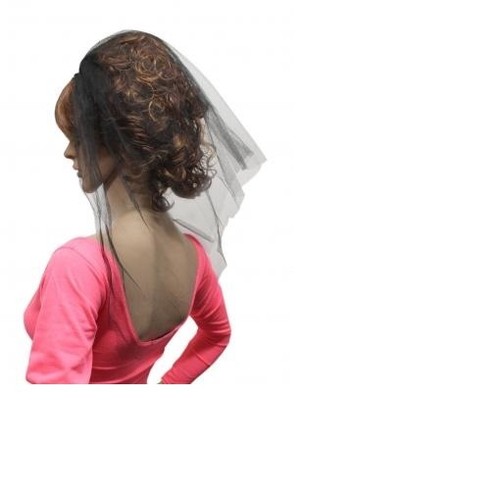 Veil hair band for hen - on,