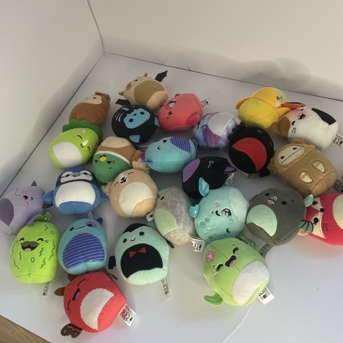 Joblot squishmallows mini - joblot,