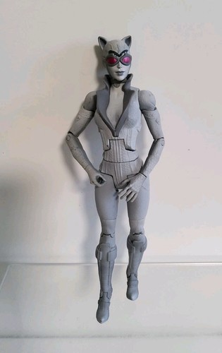 Batman arkham city catwoman - arkham,