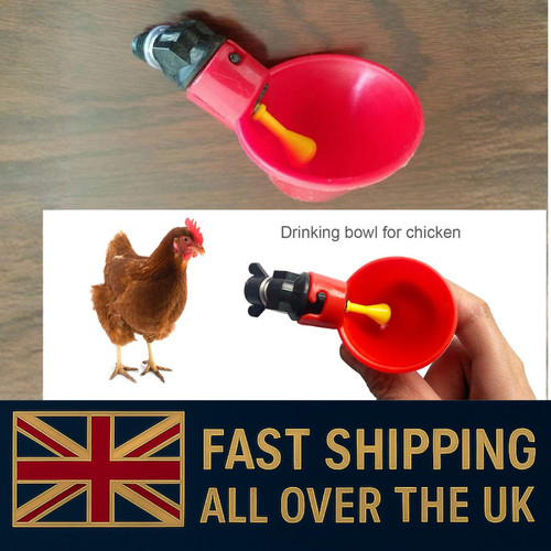 10pcs chicken bird hen water - chicken,