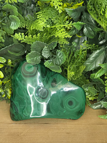 Polished green malachite - green,