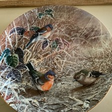 CHAFFINCHES COALPORT BIRD COLLECTORS PLATE FROM THE SERIES FROSTY MORNINGS LTD