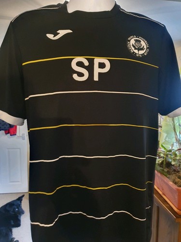 Partick thistle football - thistle,