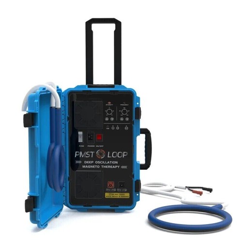 Horse pmst loop pemf magnetic - pmst,
