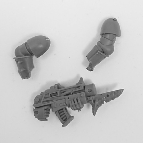 Chaos space marine - space, guard