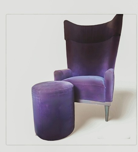 Extravagant wingback chair - an,