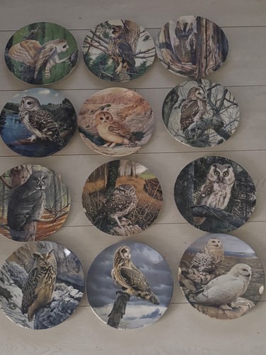 Wedgewood majesty owls - wedgewood,