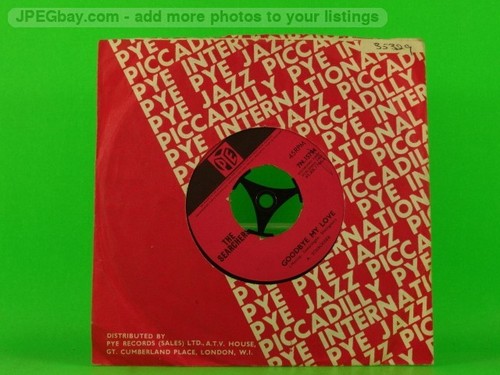 Searchers goodbye love - searchers,