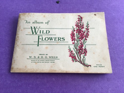 Wild flowers 1st series - wild, a