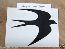 1 x Swift Bird Vinyl Decal /