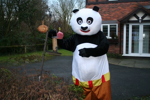 Kung panda character - kung, fu