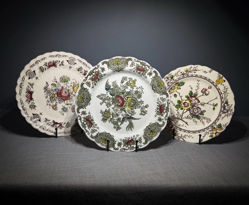 Antique dinner plate display - antique,