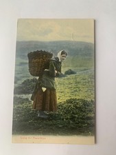 Scottish Antique Postcard