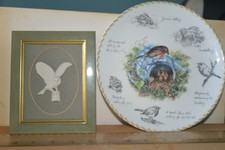 The Robin Collectors Plate