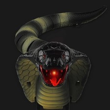 Remote Control Snake Toy