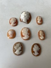 Vintage Cameo shells Unmounted