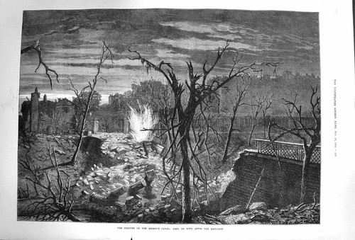 Old antique print 1874 - old,