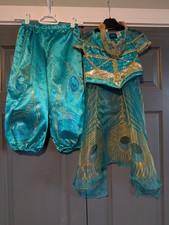 ⭐ Disney's Aladdin Princess