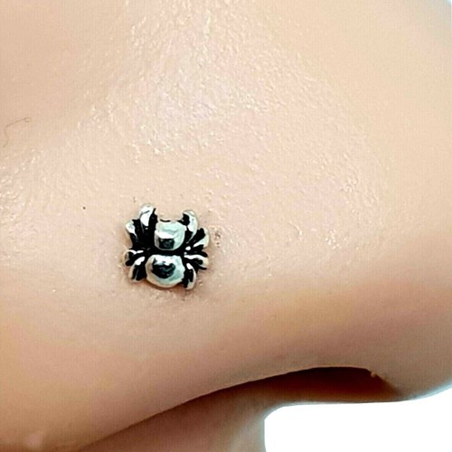 Spider nose stud wolf - spider,