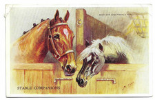 Artist Drawn Postcard STABLE COMPANIONS by M Gear Baby Cob & Piebald Pony Horses